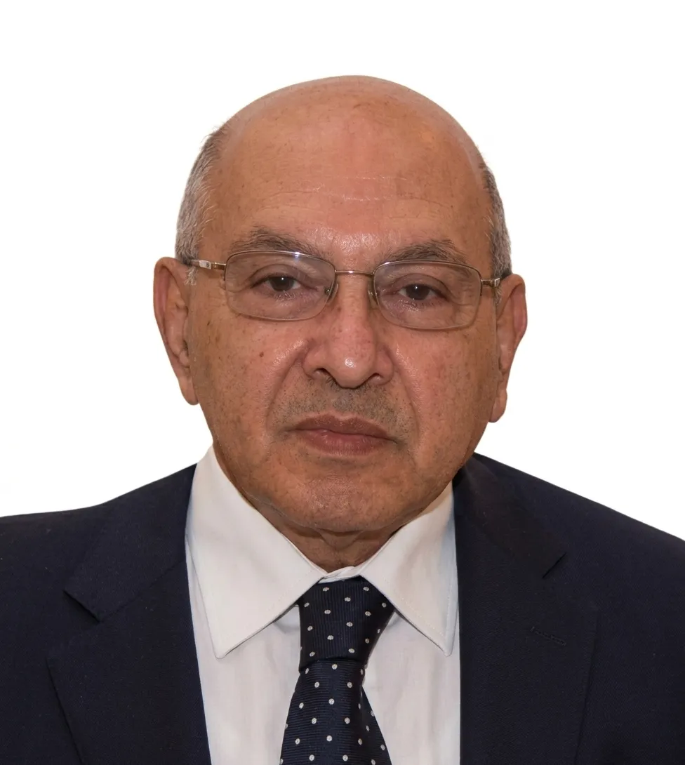 Prof. Mohamed Osama Hegazy